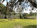 Scarperia - Nel verde villetta con garage e giardino