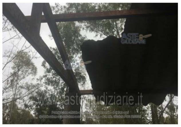 IMMOBILI-IMMOBILE INDUSTRIALE-Via Piano Rosso, 04012 Cisterna di Latina LT, Italia - Foto 4
