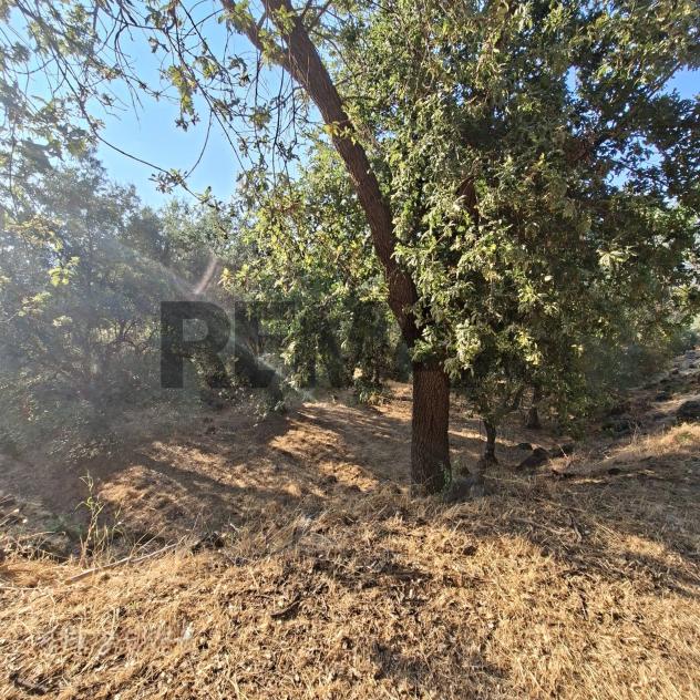 Terreno in vendita a Castiglione di Sicilia - Foto 12