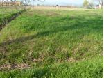 Terr edif porc 100 - Terreno Edificabile a Porcari