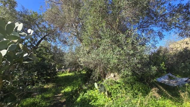 Agricolo in vendita a Siracusa - Foto 20