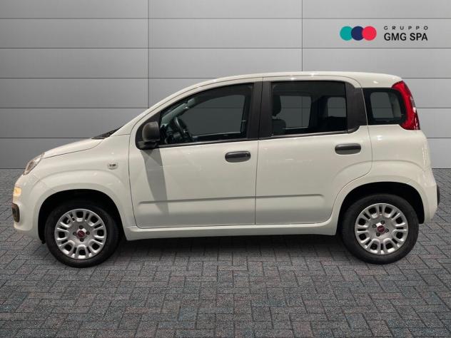 FIAT Panda 1.2 Easy s&s 69cv my19 - Foto 5