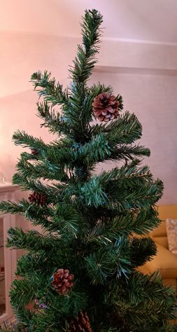 Albero di Natale Abete Dakota cm 180 o cm 220 - Foto 6