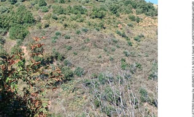 Immobile in asta di 108 m² in vendita a Gioiosa Marea - Foto 15