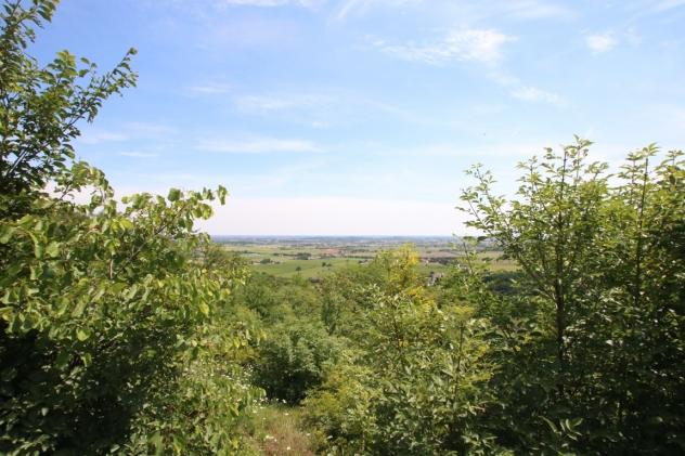 Bosco in vendita a Castegnero - Foto 19