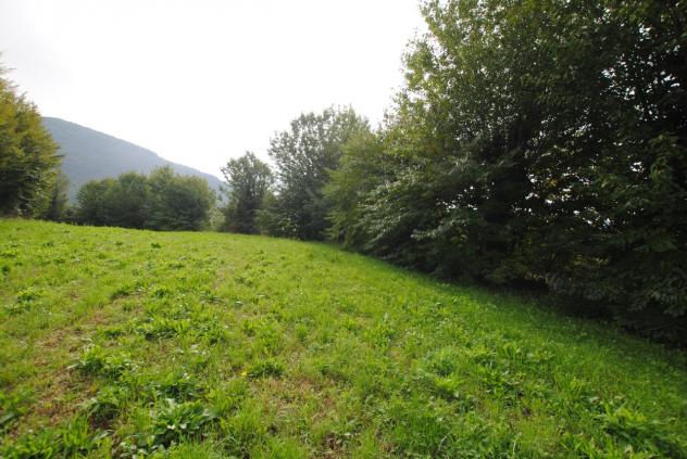 Terreno edificabile in vendita a Cornedo Vicentino - Foto 8
