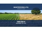 Immobile in asta di 10861 m² in vendita a Manfredonia
