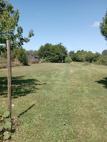 Terreno agricolo in vendita a La Vettola - Pisa 3650 mq Rif: 1275725 - Foto 7