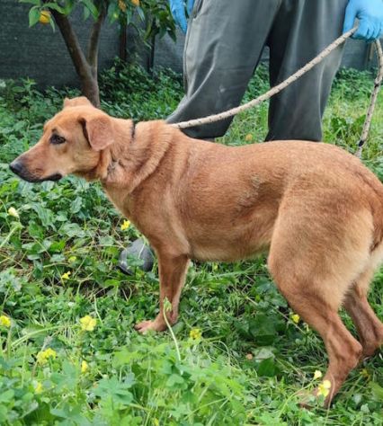 Matilde - Foto 4