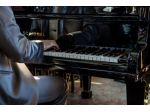 Pianista/organista per la cerimonia del matrimonio in chiesa e Municipio