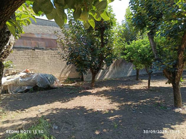 Frutteto in vendita a Nocera Inferiore - Foto 6