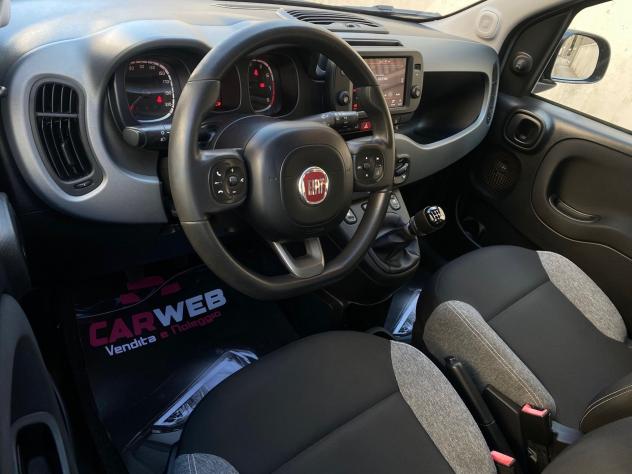 FIAT PANDA 1.0 FIREFLY S&S CITY LIFE My 2021 - Foto 8