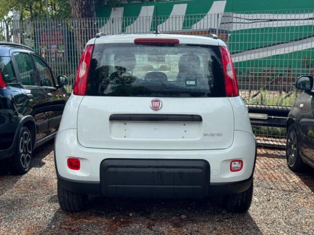 FIAT Panda Hybrid Citylife 1.0cc 70cv rif. 24109785 - Foto 3