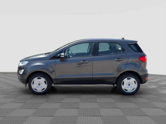 FORD EcoSport EcoSport 1.0 EcoBoost 100 CV Plus rif. 23833426 - Foto 2
