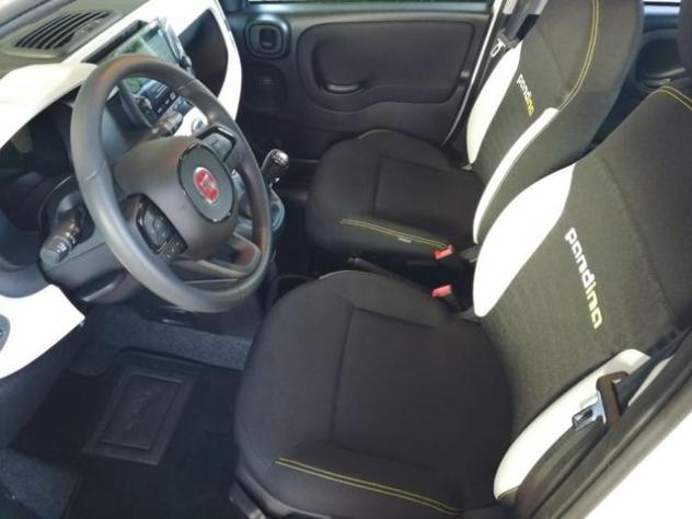 FIAT Pandina 1.0 FireFly 65 CV Hybrid Cross 5 Posti rif. 24195096 - Foto 8