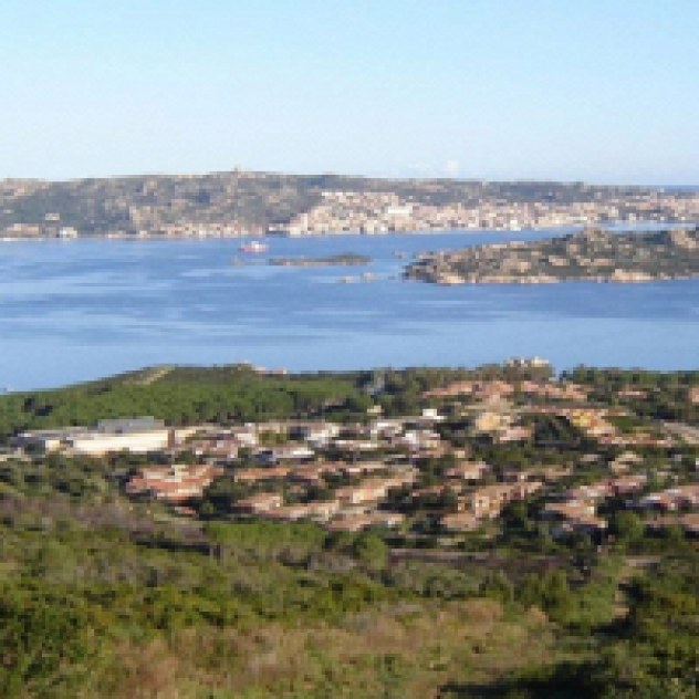 Delfino Servizi Immobiliari Srl