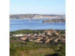 Delfino Servizi Immobiliari Srl