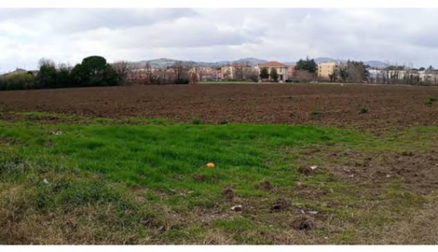 Immobile in asta di 36969 m² in vendita a Cartoceto - Foto 7