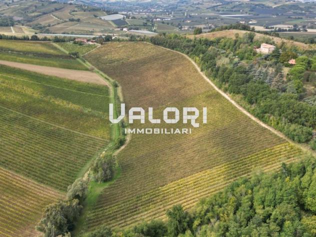 PODERE AGRICOLO DI CIRCA HA 31 OLTRE A CORTE CON CASA COLONICA E SERVIZI - Foto 7