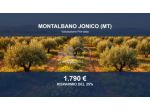 Immobile in asta di 1587 m² in vendita a Montalbano Jonico
