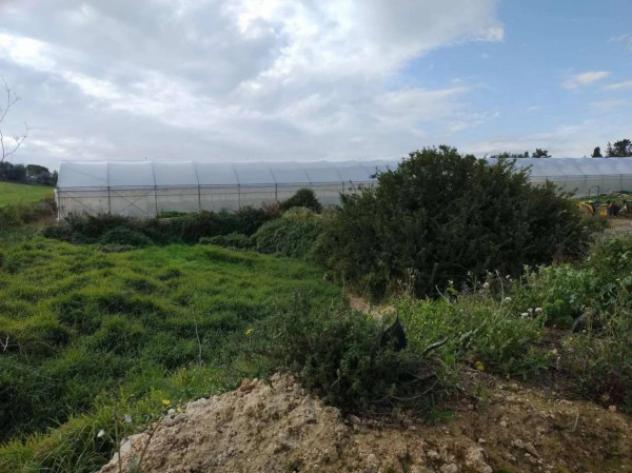 Immobile in asta di 48970 m² in vendita a Noto - Foto 13