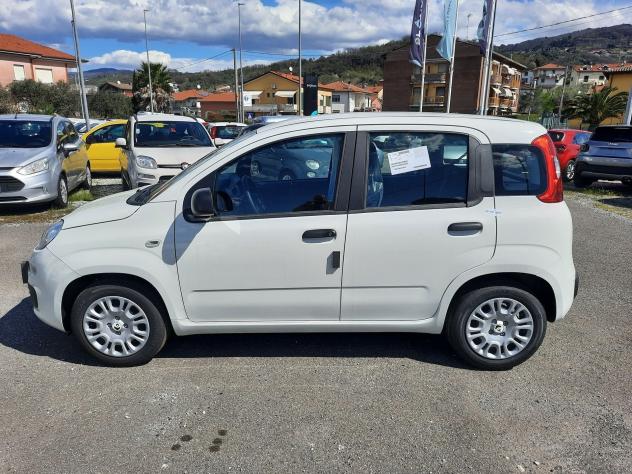 FIAT Pandina PANDA MY26 1.0 65CV HYBRID ICON - Foto 4