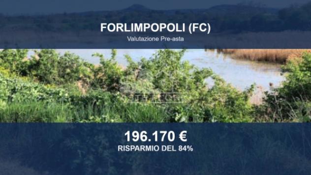 Immobile in asta di 295969 m² in vendita a Forlimpopoli