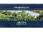 Immobile in asta di 295969 m² in vendita a Forlimpopoli