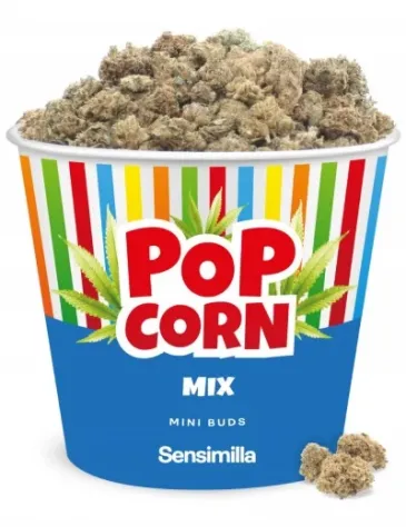 Popcorn Mix