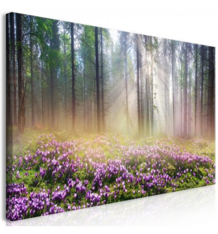 Quadro Foresta E Fiori 70X35 E 120X60 ARREDALACASA
