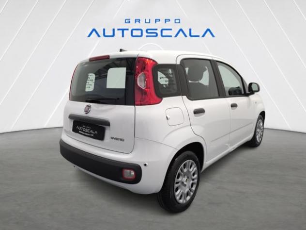 FIAT New Panda Pandina 1.0 FireFly 65 CV Hybrid Icon rif. 24157234 - Foto 5