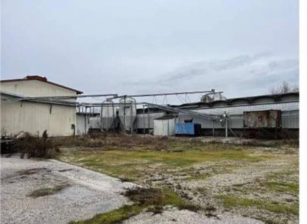Immobile in asta di 2200 m² in vendita a Cittadella - Foto 7