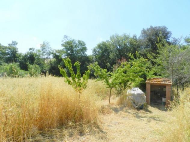 Open Space in vendita a Castellina Marittima - Foto 3