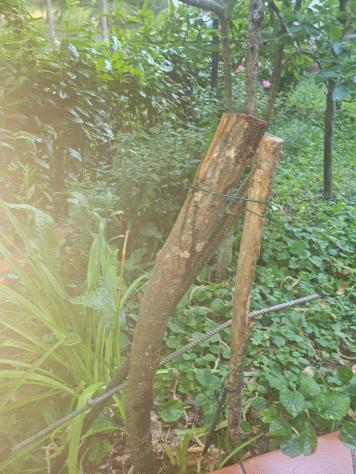 Villetta a schiera in vendita a Femminamorta - Marliana 60 mq Rif: 1429186 - Foto 2