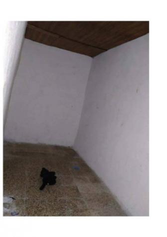 Immobile in asta di 64 m² in vendita a Segni - Foto 7