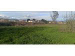 Terreno edificabile 1250 mq  in Vendita a Castiglione del Lago