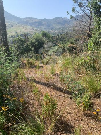Terreno Agricolo con Magazzino in Vendita a 6 km da Cefalù - Foto 9