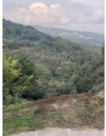 Immobile in asta di 15089 m² in vendita a Ruvo del Monte - Foto 3