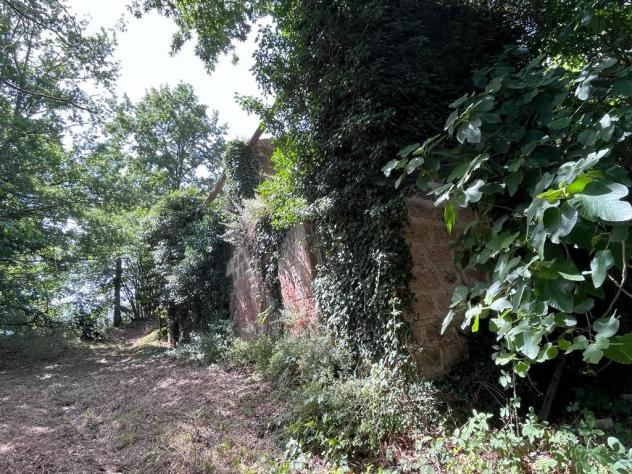 Nel comune di Sorano e precisamente nella frazione di San Giovanni delle Contee che dispone di servizi di prima necessità e dista circa 14 km da Soran - Foto 3