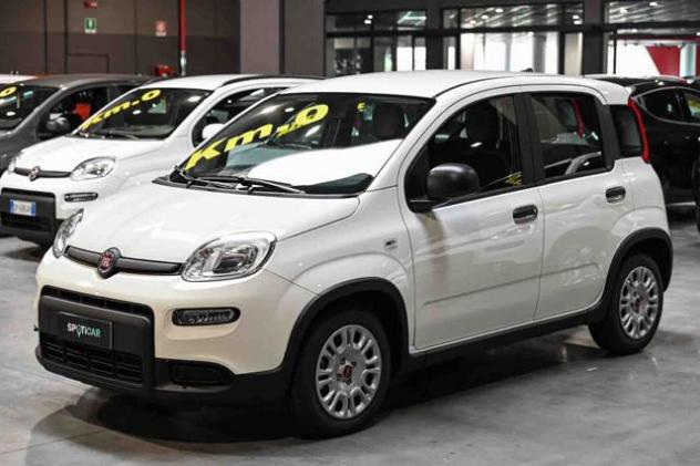 FIAT Panda 1.0 FireFly S&S Hybrid rif. 23257461