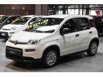 FIAT Panda 1.0 FireFly S&S Hybrid rif. 23257461