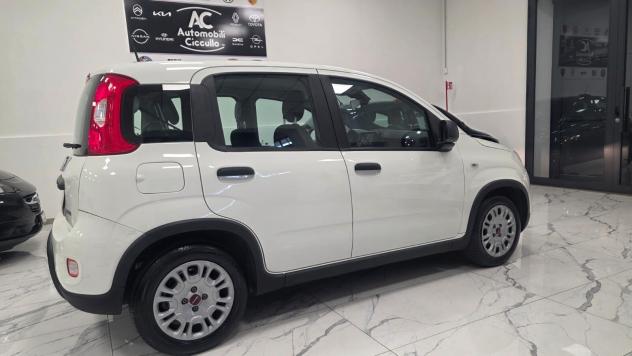 Fiat Panda 1.0 FireFly S&S Hybrid - Foto 3