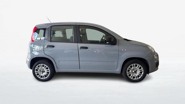 FIAT Panda III 2016 1.2 69cv Easy S&S my19 - Foto 2