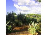 Agriturismo di Baratti