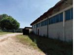 Immobile in asta di 999 m² con più di 5 locali in vendita a Casale di Scodosia