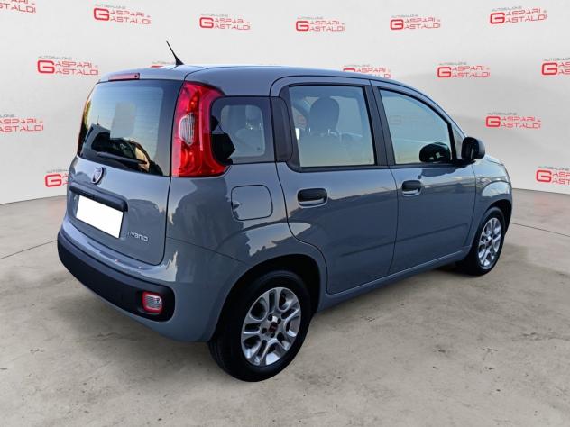 FIAT Panda 1.0 FireFly 70cv S&S Hybrid - Foto 3