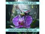 Grafico offre consulenza