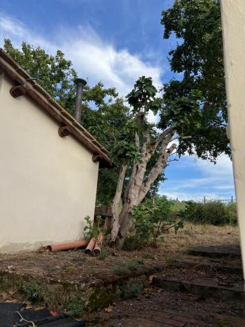 Casale in vendita a Impruneta - Foto 11