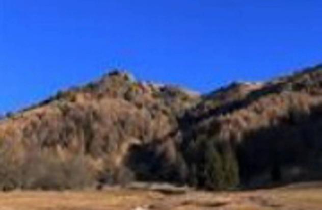 Immobile in asta di 17391 m² in vendita a Scurelle - Foto 4