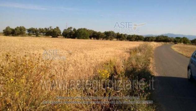 IMMOBILI-ALTRA CATEGORIA-Località Is Ollastu - Foto 4